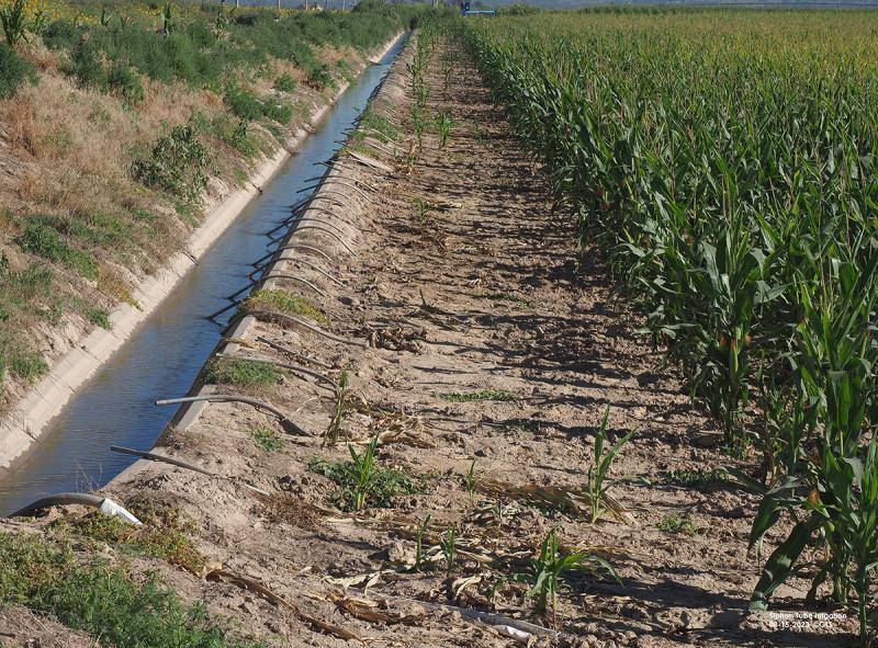Siphon Tubes: Setting water to grow crops in western Nebraska